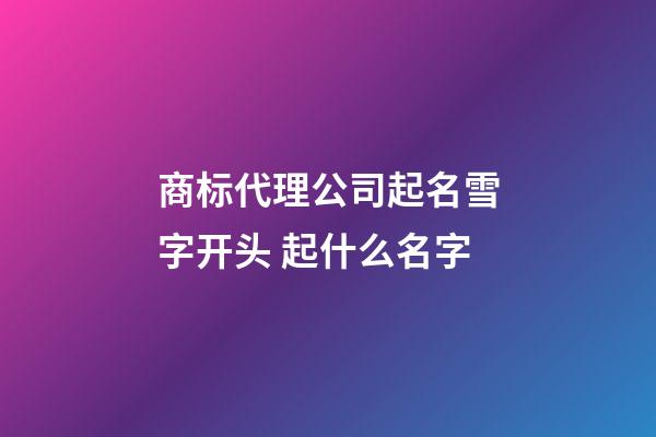 商标代理公司起名雪字开头 起什么名字-第1张-公司起名-玄机派
